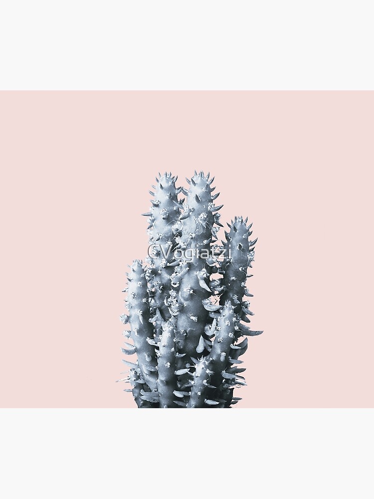 Cactus collection BL-III by CVogiatzi