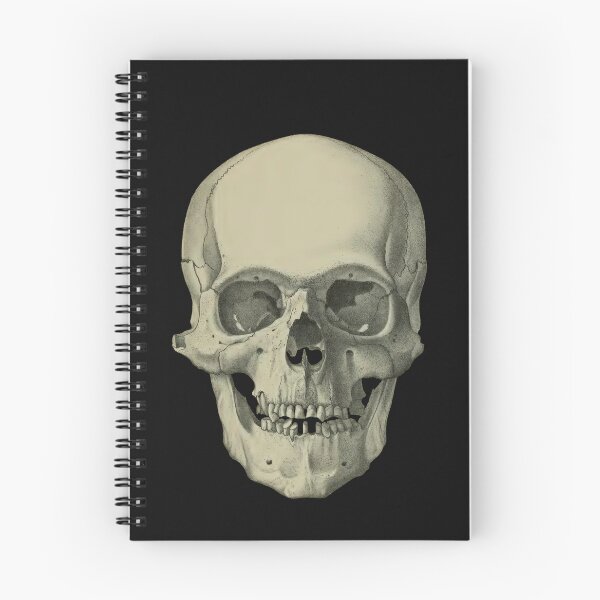 Item preview, Antique Skull, original color designed and sold by DreamingBeetle.