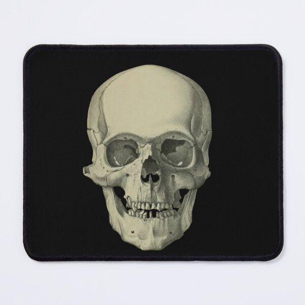 Item preview, Antique Skull, original color designed and sold by DreamingBeetle.