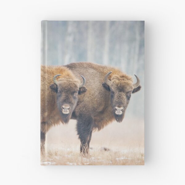 Item preview, Copy-Paste designed and sold by Dominika Aniola.