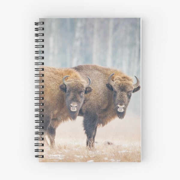 Item preview, Copy-Paste designed and sold by Dominika Aniola.