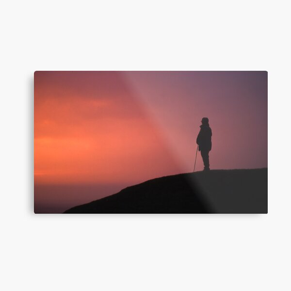 Sunset Sentinel Metal Print