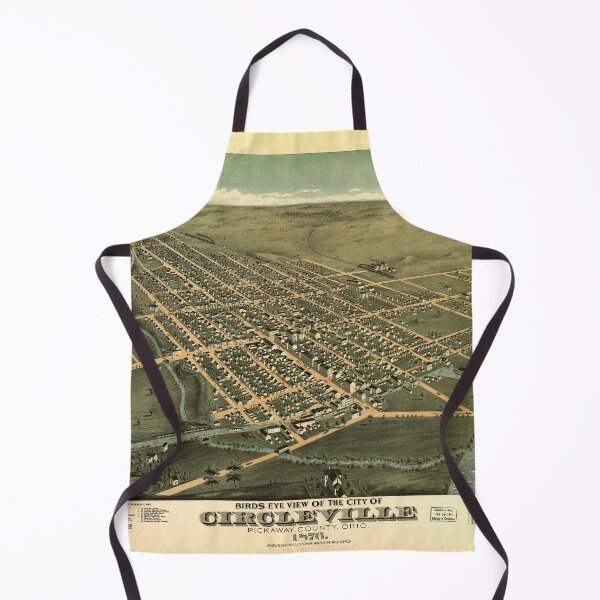 Item preview, Circleville, Ohio (1876) designed and sold by allhistory.