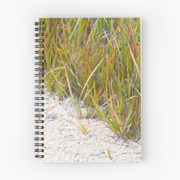 Item preview, Sword-sedge designed and sold by Amy Akers.
