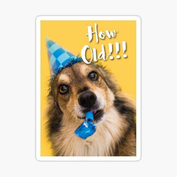 How Old Doggie Birthday Card Sticker