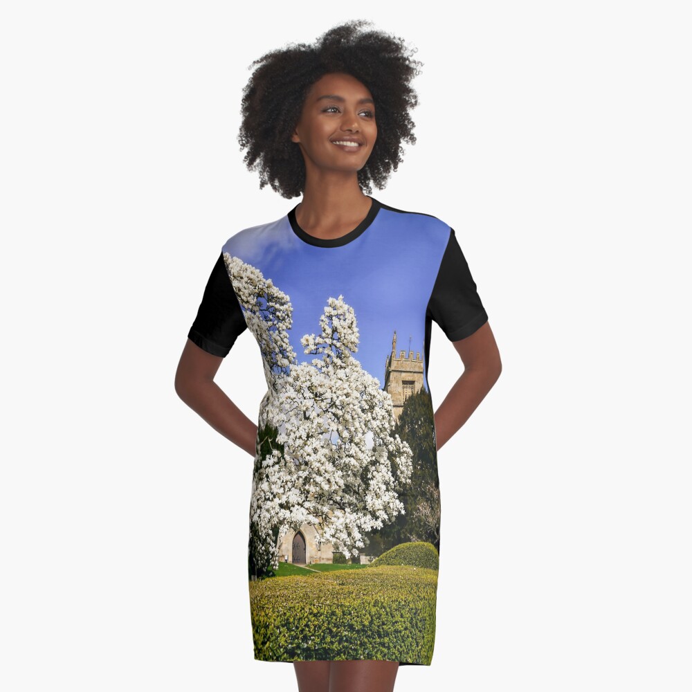 Item preview, Graphic T-Shirt Dress designed and sold by ScenicViewPics.