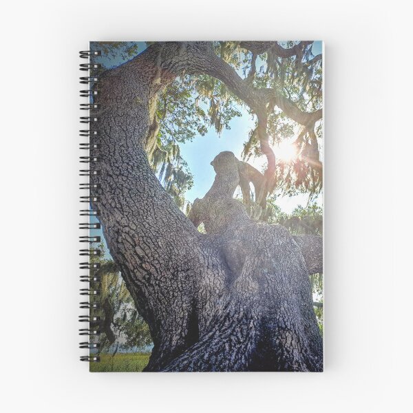 Item preview, Grand old oak; Myakka  designed and sold by Largerterritory.