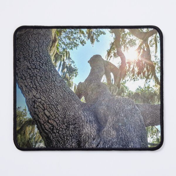 Item preview, Grand old oak; Myakka designed and sold by Largerterritory.