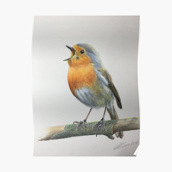 Robin singing Poster