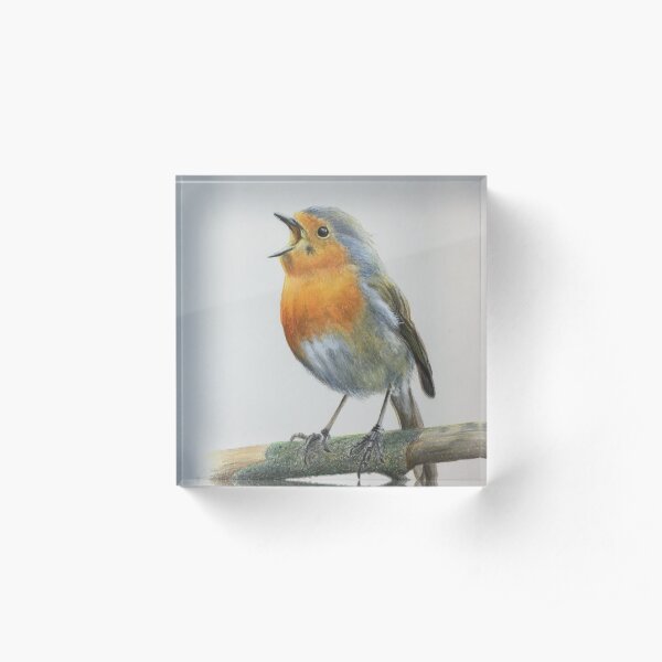 Robin singing Acrylic Block