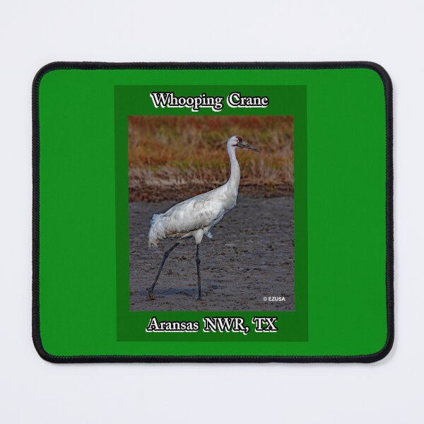 Item preview, Give Someone You Love The Bird: Whooping Crane, Aransas NWR, Aransas County, Texas. designed and sold by MoreEZUSA-Here.