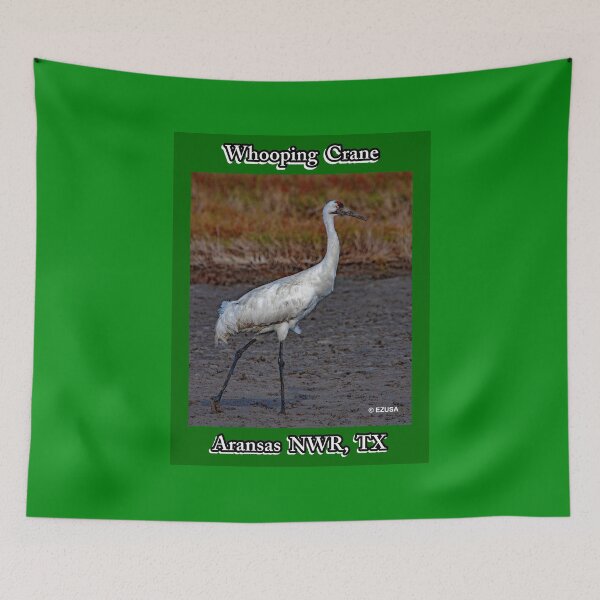 Item preview, Give Someone You Love The Bird: Whooping Crane, Aransas NWR, Aransas County, Texas.  designed and sold by MoreEZUSA-Here.
