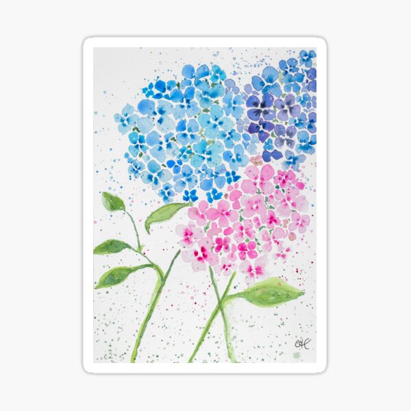 Item preview, Fresh blue,  pink and  purple hydrangea watercolour flower designed and sold by CindyGetsArty.