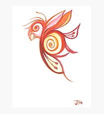 Birderfly Photographic Print