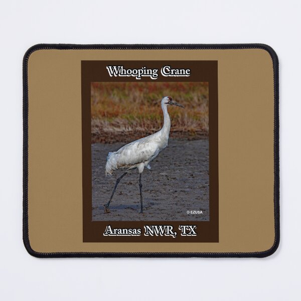 Item preview, The Perfect Gift For A Bird Lover: Whooping Crane, Aransas NWR, Aransas County, Texas. designed and sold by MoreEZUSA-Here.