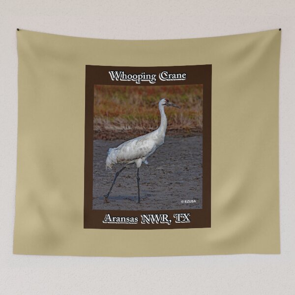 Item preview, The Perfect Gift For A Bird Lover: Whooping Crane, Aransas NWR, Aransas County, Texas.  designed and sold by MoreEZUSA-Here.