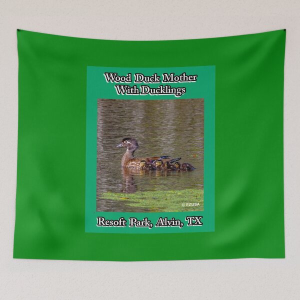 Item preview, For The Bird Lover In You: Wood Duck With Ducklings, Resoft Park, Alvin, Texas. designed and sold by MoreEZUSA-Here.