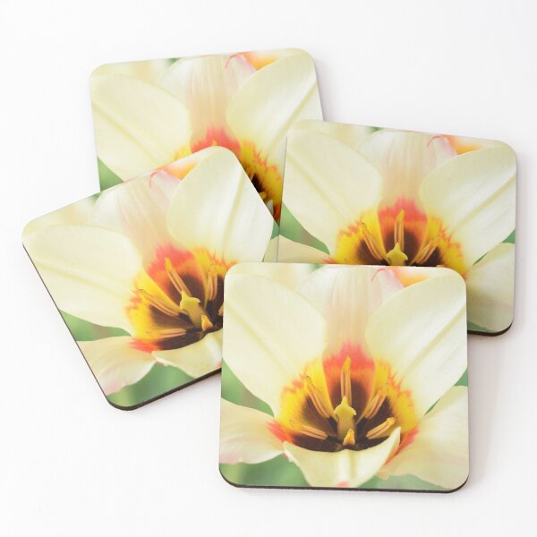 Item preview, Tulipa tulip designed and sold by Chris Burrows.
