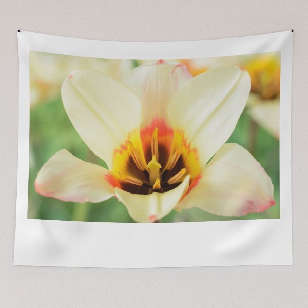 Item preview, Tulipa tulip designed and sold by Chris Burrows.