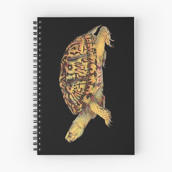Item preview, Eastern Box Turtle, in purple dawn designed and sold by DreamingBeetle.