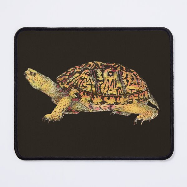 Item preview, Eastern Box Turtle, in purple dawn designed and sold by DreamingBeetle.