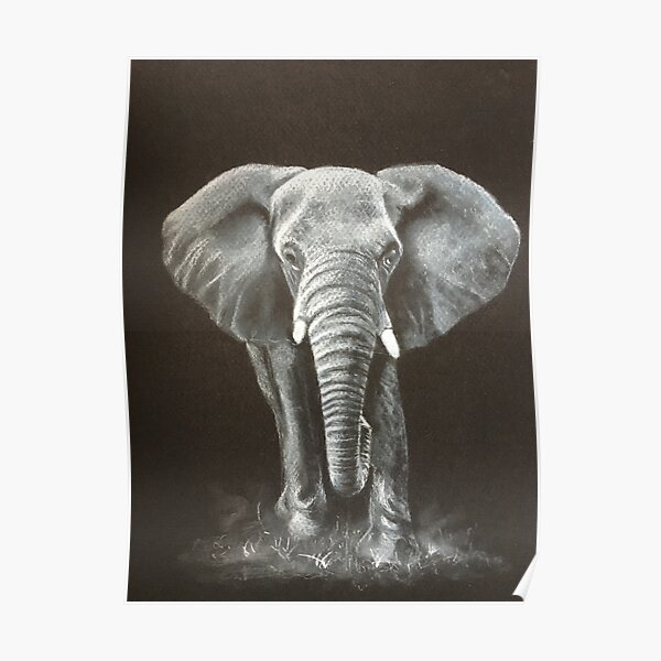 African Elephant Poster