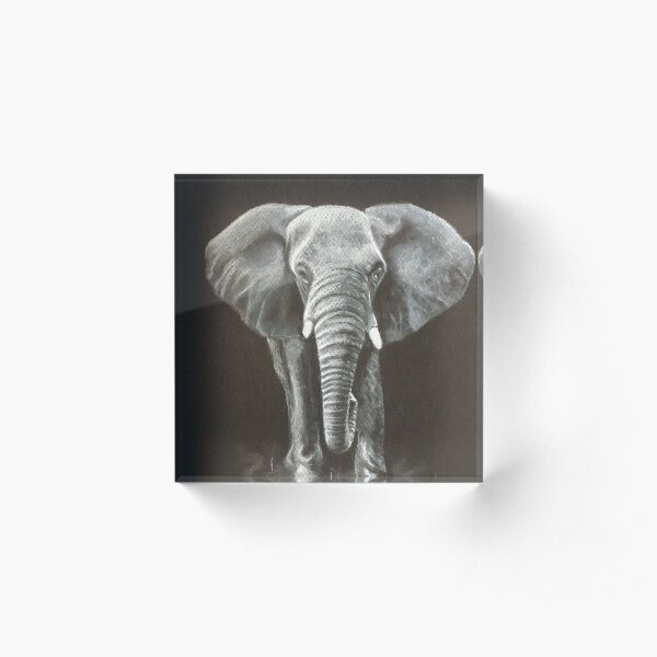 African Elephant Acrylic Block