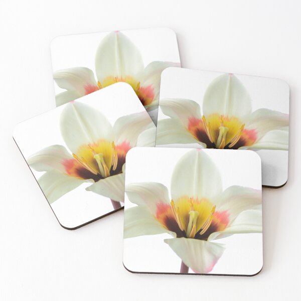 Item preview, Tulipa tulip designed and sold by Chris Burrows.