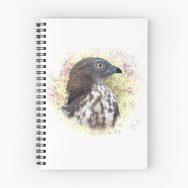 Item preview, Honey buzzard designed and sold by Guardi71.