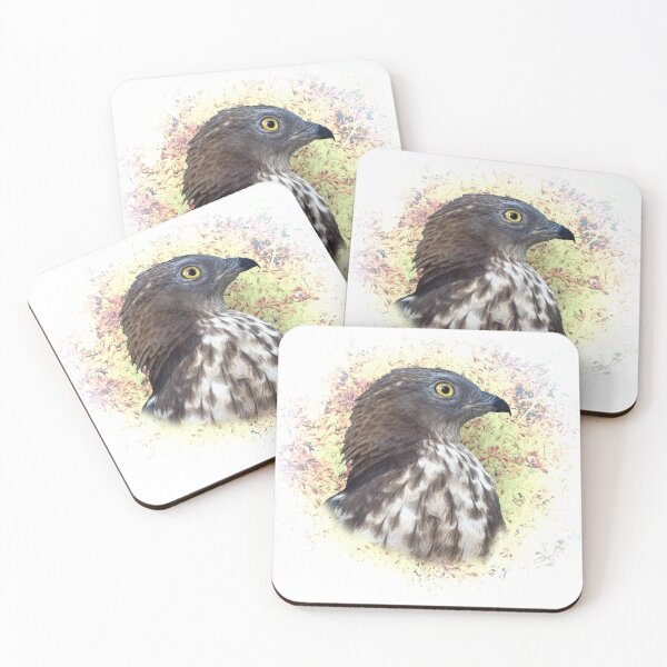 Item preview, Honey buzzard designed and sold by Guardi71.