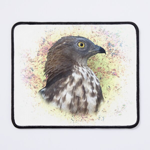 Item preview, Honey buzzard designed and sold by Guardi71.