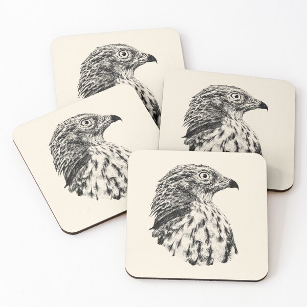 Item preview, Honey buzzard designed and sold by Guardi71.