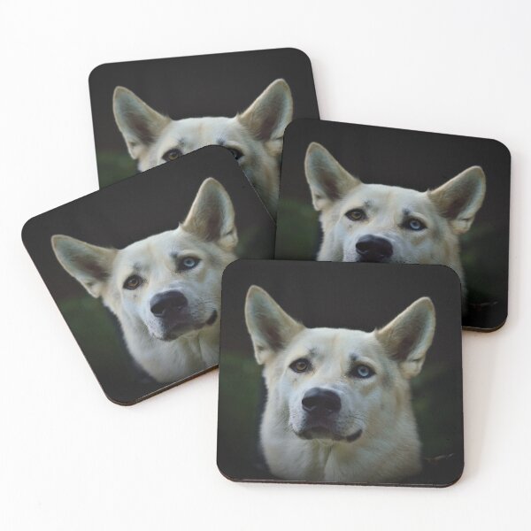 Item preview, Heterochromia dog designed and sold by Vanja Rosenthal.