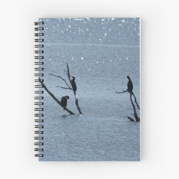 Item preview, birds designed and sold by jane Mcainsh.