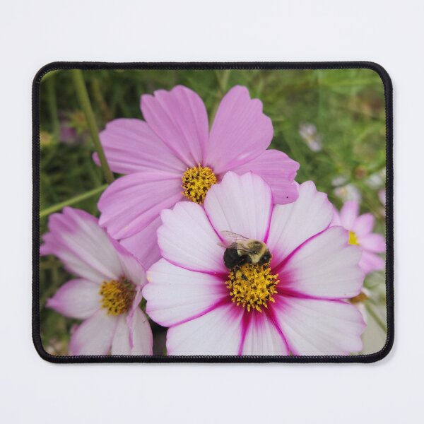 Item preview, Cosmos Abuzz designed and sold by Amber Graham (grahamedia).