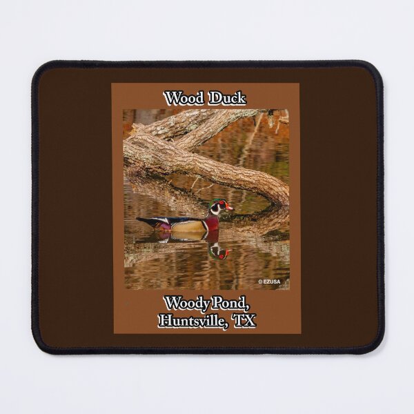 Item preview, The Perfect Gift For A Bird Lover:  Wood Duck Couple, Woody Pond, Huntsville, Texas. designed and sold by MoreEZUSA-Here.