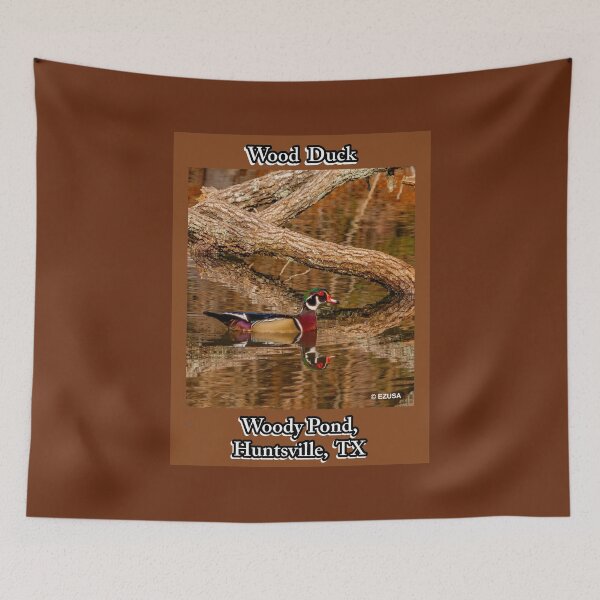 Item preview, The Perfect Gift For A Bird Lover:  Wood Duck Couple, Woody Pond, Huntsville, Texas. designed and sold by MoreEZUSA-Here.