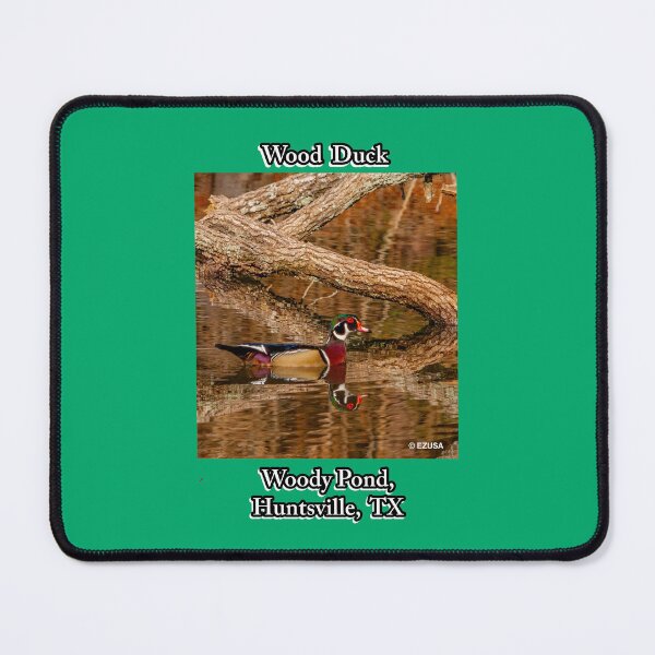 Item preview, For The Bird Lover In You:  Wood Duck Couple, Woody Pond, Huntsville, Texas. designed and sold by MoreEZUSA-Here.