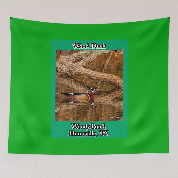 Item preview, For The Bird Lover In You:  Wood Duck Couple, Woody Pond, Huntsville, Texas. designed and sold by MoreEZUSA-Here.
