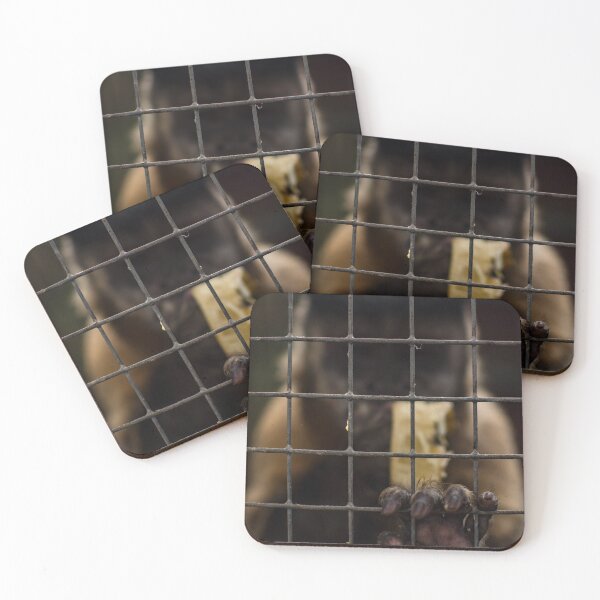 Item preview, Let Me Out! designed and sold by Arc1.