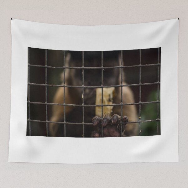Item preview, Let Me Out! designed and sold by Arc1.