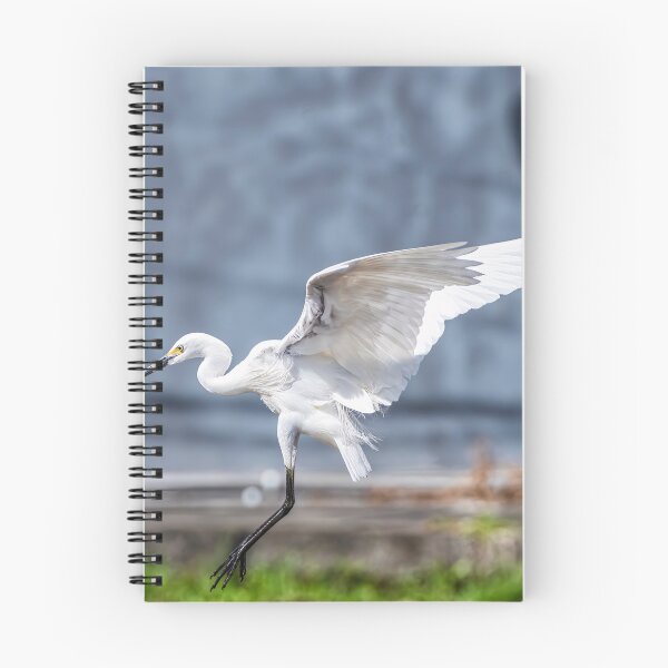 Item preview, White Crane in Flight  designed and sold by JohnKarmouche.