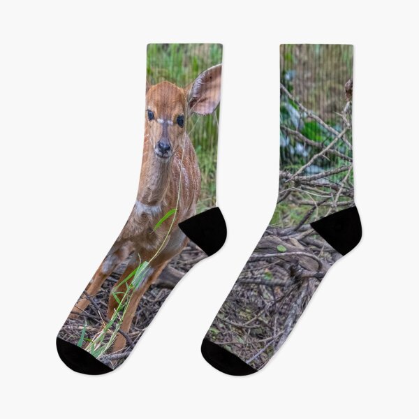 Item preview, Young Kudu Deer Looking Curious designed and sold by SafariByMarisa.