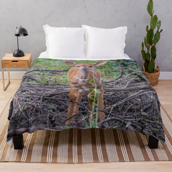 Item preview, Young Kudu Deer Looking Curious designed and sold by SafariByMarisa.