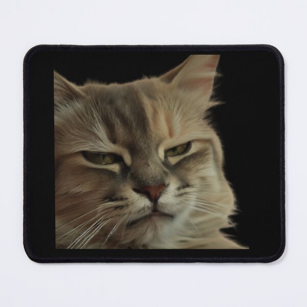 Item preview, Sarcastic Cat: Meme  designed and sold by PatyCreations.