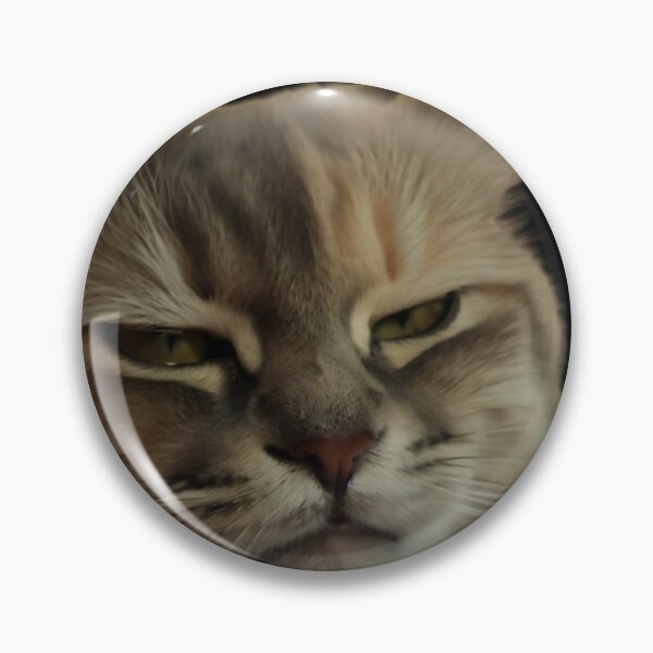 Item preview, Sarcastic Cat: Meme  designed and sold by PatyCreations.
