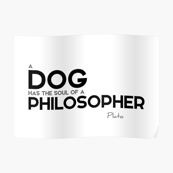 dog: soul of a philosopher - plato Poster