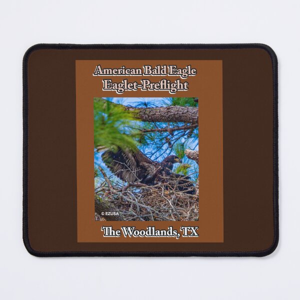 Item preview, For The Bird Lover In You: American Bald Eagle ~ Eaglet In Preflight In The Woodlands, Texas. America's National Bird, Eagle Nesting. designed and sold by MoreEZUSA-Here.