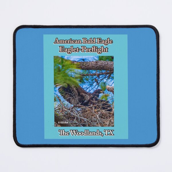Item preview, Give The Bird To Your Lover: American Bald Eagle ~ Eaglet In Preflight In The Woodlands, Texas. America's National Bird, Eagle Nesting. designed and sold by MoreEZUSA-Here.