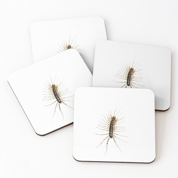 Item preview, Spider runner - Halloween - insect - nature rules! designed and sold by Luzi Illustrella.